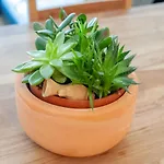 Apartman Zwieselstein Near Slopes *