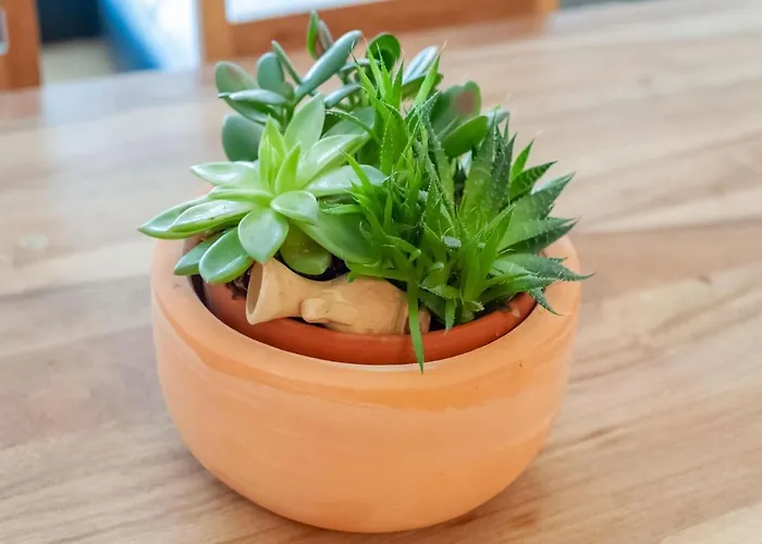 Апартаменти Zwieselstein Near Slopes *